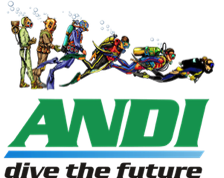 ANDI International
